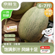 京鮮生 海南哈密瓜 凈重6-7斤 2粒 單果2斤起  水果源頭直發(fā)包郵