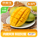 京鮮生新鮮玉芒 凈重8.5斤 單果350g＋ 新鮮水果 源頭直發(fā)包郵