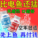 誘魚(yú)超強誘魚(yú)粉釣魚(yú)一粒爆釣魚(yú)小藥添加劑黑坑野釣專(zhuān)用鯉鯽魚(yú)釣魚(yú) 紅色【野釣專(zhuān)用】