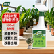 尚洋金錢(qián)樹(shù)專(zhuān)用植物營(yíng)養液免稀釋500mL園藝綠植盆栽液體肥花肥料