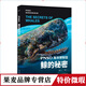 【正版微瑕】 PNSO海洋博物館.鯨的秘密 探索鯨魚(yú)演化的秘密 海洋世界 少兒科普 紙上iMax體驗 果麥出品