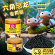 六角恐龍魚(yú)飼料蠑螈飼料六角恐龍魚(yú)蠑螈專(zhuān)用飼料七星魚(yú)魚(yú)食下沉底 2mm 蠑螈飼料 350ml