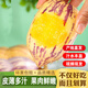 冉沃優(yōu)選甘肅民勤人參果新鮮皮薄多汁產(chǎn)地直發(fā)現摘黃心水果整箱包郵 【暢銷(xiāo)熱賣(mài)】5斤中果 單果120-200g凈重4.5斤