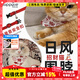 puppytie貓咪用品貓鈴鐺項圈寵物頸圈圍脖三角巾圍兜 白色 均碼