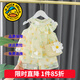 G.duck童裝女童夏裝套裝兒童衣服女寶寶夏季26新款小清新吊帶上衣兩件套 雛菊黃色+包包 80 尺碼9-12月(建議寶寶75-85cm)