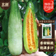 北蔬 甜瓜種子苗薄皮酥脆超甜香瓜四季水果種籽 貝雷塔羊角蜜種子5g