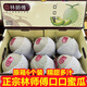 灃御園林師傅口口蜜瓜甜瓜 靜岡新鮮網(wǎng)紋瓜軟糯香甜精選水果 6個(gè)裝約13斤