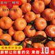 南豐蜜桔小貢桔子如沙糖橘子薄皮當季新鮮水果孕婦砂糖蜜橘批發(fā) 精選裝9-10斤【帶葉新鮮采摘】