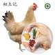 初土記 有機老母雞2斤/只 林下散養720天皖南老母雞中秋禮盒 土雞原產(chǎn)地