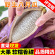 甜果源 八月瓜八月炸 貴州預知子深山野生直采麻拿藤牛卵坨 稀有新鮮 凈重3斤裝精選果【單果100-150g】