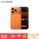 Apple/蘋(píng)果 iPhone 17 Pro 支持移動(dòng)聯(lián)通電信5G全網(wǎng)通 雙卡雙待手機 星宇橙色【無(wú)需現場(chǎng)激活】 256GB 官方標配