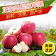 紅富士旬邑馬欄紅蘋(píng)果新鮮時(shí)令應季特產(chǎn)現摘禮盒孕婦水果脆甜包郵 【脆甜】精選12枚裝|單果75-80mm