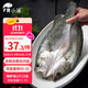 黃小漁三去海鱸魚(yú)2斤/2條 開(kāi)背鱸魚(yú) 生鮮 魚(yú)類(lèi) 海鮮水產(chǎn)燒烤食材