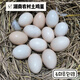 湖南土雞蛋正宗農家散養笨雞蛋谷物青菜喂養可生吃農村新鮮柴雞蛋 40枚土雞蛋