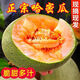 海南哈密瓜蜜瓜甜瓜 新鮮現摘黃金香瓜沙漠甜瓜當季半價(jià)水果生鮮 4.5-5斤(2-3個(gè))