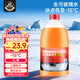 德貝迪防凍玻璃水-15度乙醇配方汽車(chē)冬季去油膜特斯拉奧迪寶馬奔馳通用 去油膜防凍款4斤裝【-15℃】防凍型1大桶