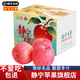 靜寧蘋(píng)果 【順豐到家】甘肅紅富士蘋(píng)果水果 新鮮應季靜寧蘋(píng)果 凈重12斤大果約24枚80mm