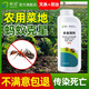 皎潔螞蟻藥菜地農(nóng)用戶外室外家用全窩一鍋殺螞蟻除滅蟻端殺專用殺蟲劑 500g 1瓶 【送殺蟻粉劑】不傷菜園