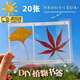 喆煒植物標本塑封膜秋天收集楓葉手工diy材料透明樹(shù)葉粘貼畫(huà) 【20張】不含干花樹(shù)葉