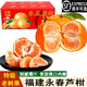 鑫果滋【順豐】福建永春蘆柑 福建特產(chǎn)甜蘆柑椪碰柑新鮮水果送禮柑桔橘 凈9斤 大果 約75mm 【順豐】 永春蘆柑