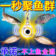 2026新款釣魚(yú)神器黑科技全自動(dòng)水下誘魚(yú)燈集魚(yú)燈聚籠超聲波探魚(yú)器 單個(gè)【免打窩】體驗裝 紅色/綠色/藍色/七色【需要哪個(gè)顏色備注】默認綠色