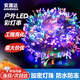 安晟達LED跑馬氛圍彩燈串 戶(hù)外景區樹(shù)木建筑滿(mǎn)天星裝飾亮化霓虹變色節日彩色串燈防水防凍 彩色燈串10米100燈