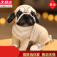 飾鹿熊仿真名犬狗狗公仔毛絨玩具吉娃娃玩偶八哥犬斑點(diǎn)狗比格犬寵物小狗 八哥犬(坐版) 23厘米