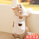 XELECPOCKET貓咪衣服冬季保暖絨衣防掉毛居家服德文貓小貓背心秋冬款馬甲毛衣 【彌雅白】-小熊馬甲 M【建議5-8斤】