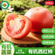 京地達河北有機西紅柿番茄自然熟凈重1800g單盒300g有機蔬菜源頭直發(fā)