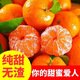 落梅香正宗廣東四會(huì )沙糖桔現發(fā)德慶砂糖橘子新鮮蜜桔爆甜橘生鮮應季水果 20斤精品砂糖橘【順豐京東】