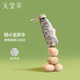 天堂傘迷你口袋膠囊傘小巧碎花黑膠防曬防紫外線(xiàn)遮陽(yáng)傘太陽(yáng)傘晴雨傘女 奶茶白-迷你五折口袋傘
