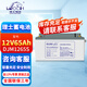 理士蓄電池DJM1265S閥控式鉛酸免維護12V65AH適用于機房UPS電源 EPS電源 直流屏 通信電源