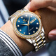 瑞士勞力士手表男士機械表高端鑲鉆防水夜光進(jìn)口金表十大品牌男表 R7003間金藍面-官方標配原裝進(jìn)口 41mm直徑