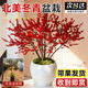 臨雅北美冬青盆栽老樁帶果樹(shù)苗紅果真花室內室外切花盆景好養花卉植物 A+級北美冬青120#盆
