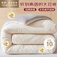 雅鹿·自由自在被子大豆纖維棉被芯1.5米x2米A類(lèi)秋冬季被褥加厚5斤150x200cm拼灰