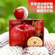阿克蘇蘋(píng)果新疆阿克蘇冰糖心蘋(píng)果新鮮水果整箱紅富士萍果批發(fā)水果零食 精品禮盒裝88mm-95mm左右12枚