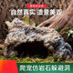 短云爬寵仿真巖石造景樹(shù)脂躲避守宮蜥蜴洞穴躲避角蛙沙漠系寵物躲避物 仿巖石躲避小號