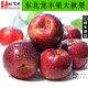 素味清歡東北特產(chǎn)龍豐果大秋果當(dāng)季現(xiàn)摘新鮮小蘋果酸甜孕婦稀有水果整箱 5斤精品裝【店主力薦】