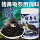 魚(yú)玹璣豬鼻龜飼料高鈣下沉型黃頭側頸龜剃刀龜通用龜糧水龜專(zhuān)用糧 高鈣固甲10mm700G下沉型