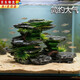蘭憐魚(yú)缸造景假山石仿真3D生態(tài)龜缸生態(tài)布景觀(guān)樹(shù)脂環(huán)保無(wú)毒裝飾 20*7*11