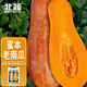 北蔬 南瓜種子苗甜糯板栗味老品種雜交蔬菜種籽 糯妃20老蜜本種子20粒