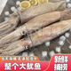 海捕大魷魚(yú)整條無(wú)包冰新鮮鮮活冷凍新鮮超大魷魚(yú)尤魚(yú)整只海鮮生鮮 整個(gè)大魷魚(yú)【1斤裝】