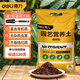 得力（deli）營(yíng)養土3L通用有機種菜土養花土園藝綠植花卉綠蘿盆栽基質(zhì)土壤