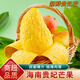 桃西村海南貴妃芒果 樹(shù)上熟金青煌芒紅金龍甜心大芒果新鮮熱帶水果整箱 3斤 中小果【單果100-150g】