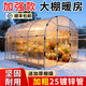 溫冠家用溫室花棚暖房大棚骨架陽(yáng)臺樓頂植物蔬菜防寒保暖陽(yáng)光棚陽(yáng)光房 2米寬 3米長(cháng) 2米高【送加厚膜】