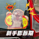 智宙實(shí)習車(chē)貼磁性貼新手上路創(chuàng  )意搞笑上路汽車(chē)夜光反光貼磁性劃痕遮擋 強反光磁吸-貓貓-實(shí)（撕）習