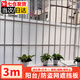佐之尋陽(yáng)臺擋板防風(fēng)防雨防貓隱私防盜網(wǎng)遮擋板磨砂半透明板窗戶(hù)防護雨水 陽(yáng)臺擋板-50cm寬*300cm長(cháng)