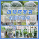 室外植物保溫罩樹(shù)木過(guò)冬防風(fēng)防凍罩盆栽花卉綠植保暖防寒罩防塵袋 保溫罩/寬70高100cm 加厚款5個(gè)