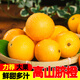 果果牛湖南高山臍橙 麻陽(yáng)當季紐荷爾手剝甜橙子新鮮水果冰糖夏血 可選 凈重9斤(單果70-75mm)