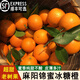 鑫果滋【超甜不酸】湖南麻陽(yáng)錦蜜冰糖橙 懷化錦密冰糖橙新鮮水果橙子 5斤大果65-70mm（普通快遞） 錦蜜【蜜甜不酸】